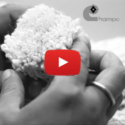 corporate ad film agency