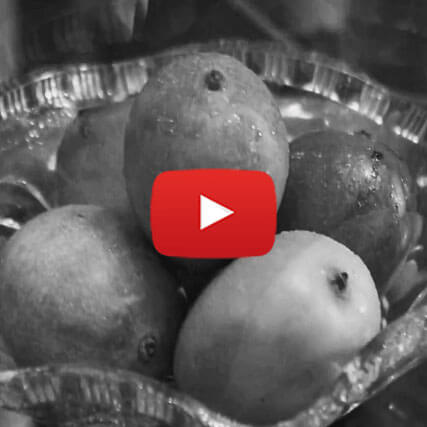 best production house in delhi ncr